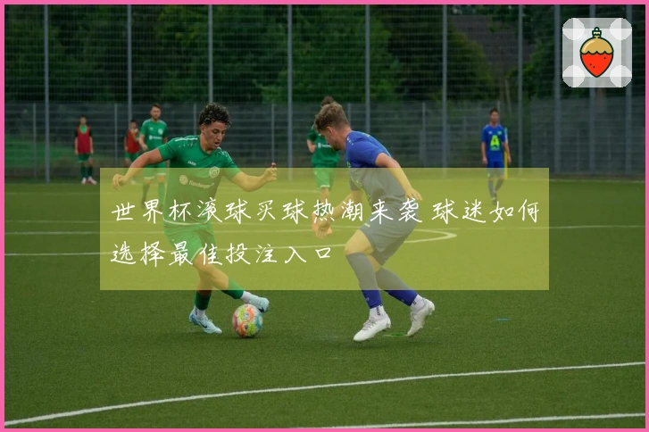 世界杯滚球买球热潮来袭 球迷如何选择最佳投注入口