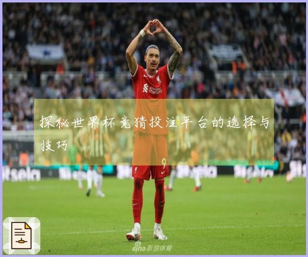 探秘世界杯竞猜投注平台的选择与技巧